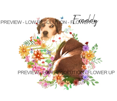 Customer photo review of Flowerpup Custom Pet Portrait