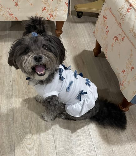 Customer photo review of Bow Dress Shirt