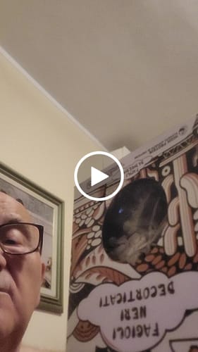 Customer video review of 10 Pacchi da 250 gr di Pasta di Legumi Decorticati ๐๐๐ ๐ฎ๐ a basso indice glicemico