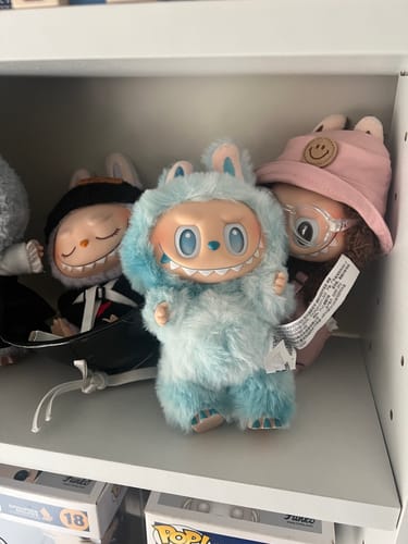Customer photo review of THE MONSTERS Big into Energy Series-Vinyl Plush Pendant Blind Box
