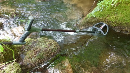 Customer photo review of XP Deus II RC WS6