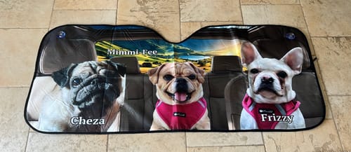 undefined review of Dein Haustierfoto - Individueller Autosonnenschutz image 1 out of 1