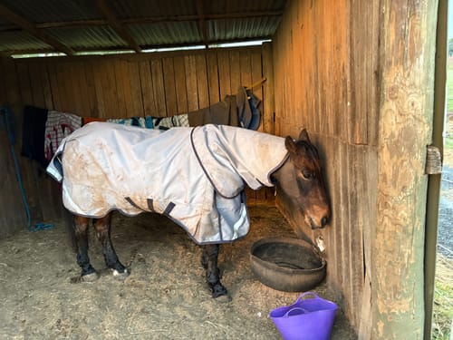 Customer photo review of LE Boxter Turnout Ripstop 50g