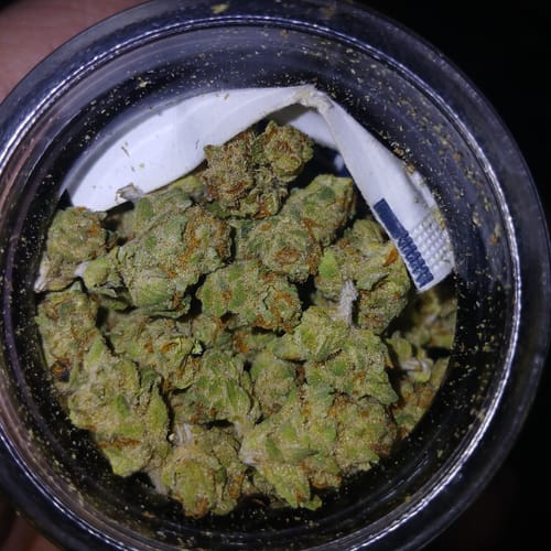 Customer photo review of Jag Sour THCA Flower Smalls