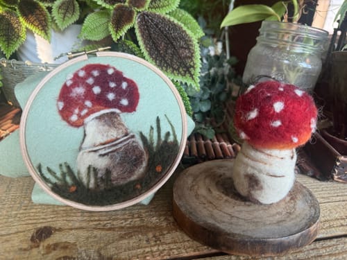 Ann Marie G. review of Sophie Wheatley's Felted Fungi Supplies Box image 1 out of 1