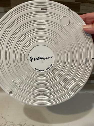Customer photo review of Pentair skimmer deck cover -white - 850095