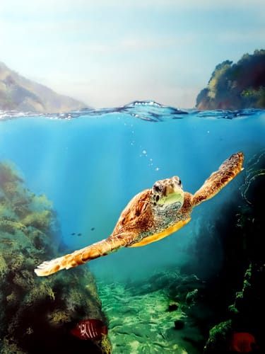 Customer photo review of Dru Blair - Underwater Workshop April 2025