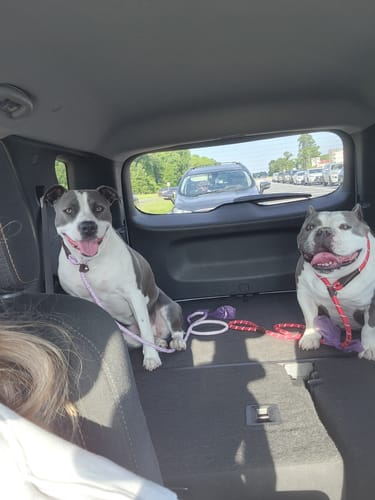 Customer photo review of FIDA Durable Slip Lead