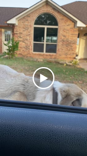 Customer video review of Freedom Joint Drops