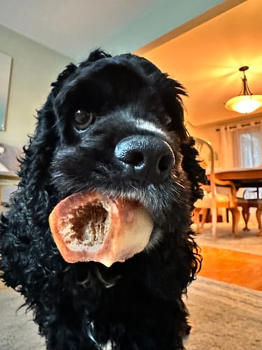 Customer photo review of Smoked Beef Marrow Bone