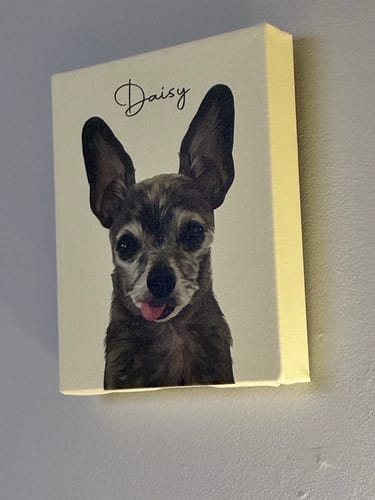 Customer photo review of Pet Art Canvas Wrap