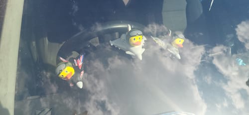 Customer photo review of RAF Association Typhoon Ducks (Pack of 3)