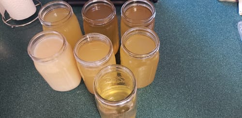 Customer photo review of SUET (BEEF FAT) FOR RENDERING TALLOW AND COOKING