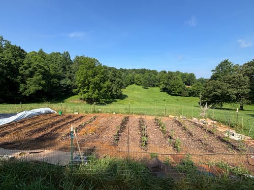 Customer photo review of The Square Foot Gardener Broadfork | 24" wide | 6 tines