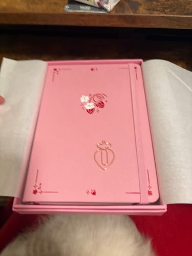 Customer photo review of Tsuki ‘Berry Sweet’ Limited Edition Bullet Journal ☾