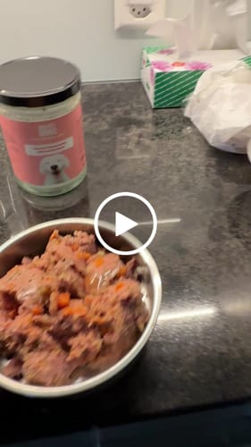 Customer video review of OH MY DOG! Lachs