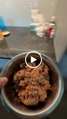 Customer video review of OH MY DOG! Lachs