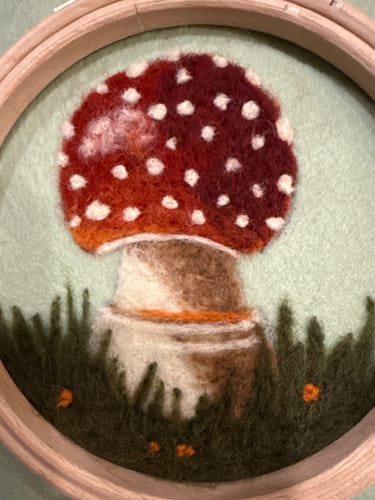 Pelin B. review of Sophie Wheatley's Felted Fungi Supplies Box image 1 out of 1