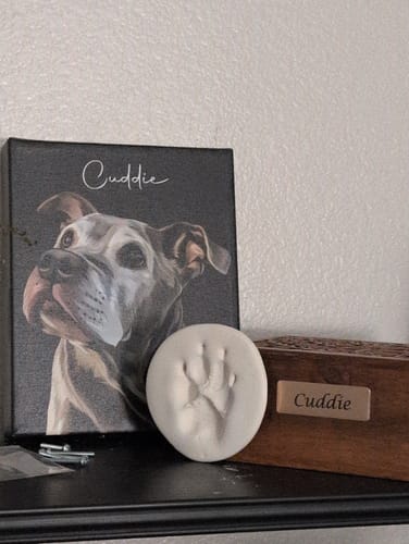 Customer photo review of Pet Art Canvas Wrap