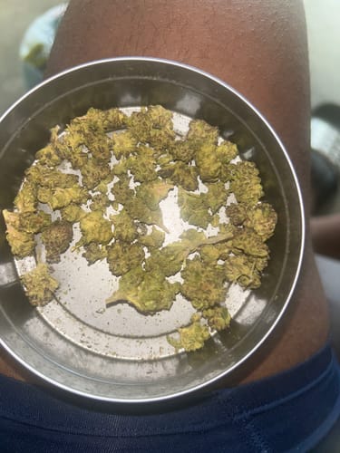 Customer photo review of White Runtz - Greenhouse THCA (Smalls)