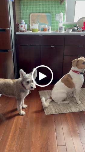 Customer video review of DA-01™ Daily All-in-One Complete Care