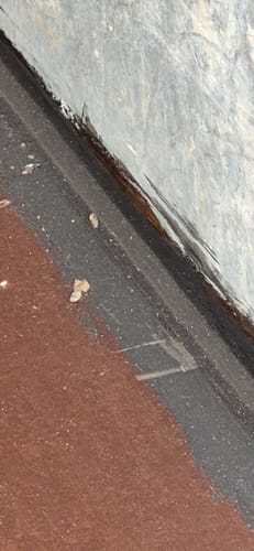 Carl G. review of Kit MS-polymeer heavy, koker 290ml, zwart image 1 out of 1