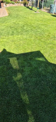 Customer photo review of Animatio® Profi-Rasendünger