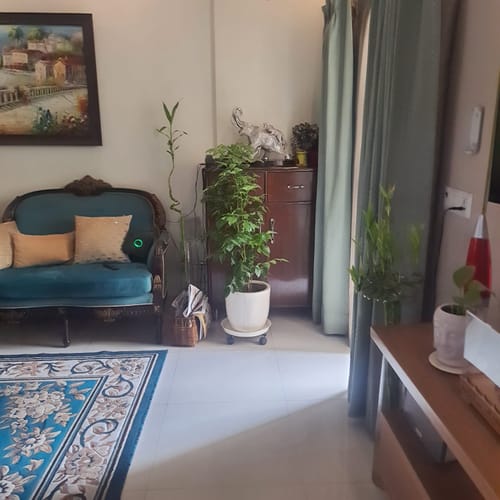 Customer photo review of United Crafts Rozy Wheel Pot Stands for Planters