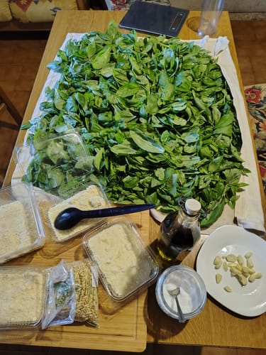 Customer photo review of Pinoli della Costa Pisana - 500g