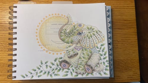 Customer photo review of MINI Horizontal Week + Month Planner, 2025-2026 | Bless Your Heart