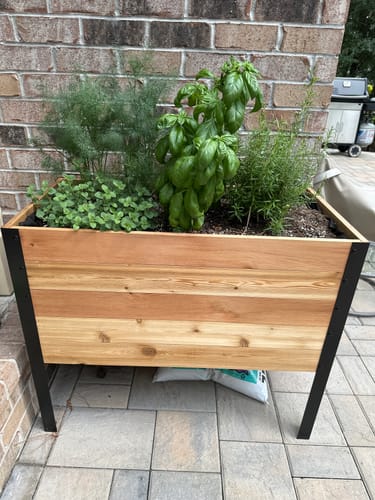 Customer photo review of 18" x 36" Raised Garden Bed - 30" TALL