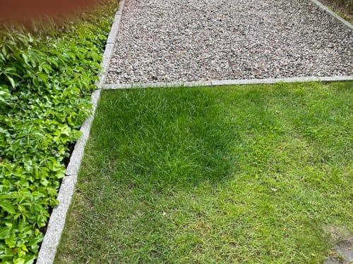 Customer photo review of Animatio® Profi-Rasendünger