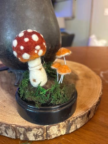 Customer photo review of Sophie Wheatley's Felted Fungi Supplies Box
