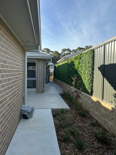 Customer photo review of Jasmine Artificial Hedge Screen / Green Wall Panel 100cm x 100cm UV Resistant