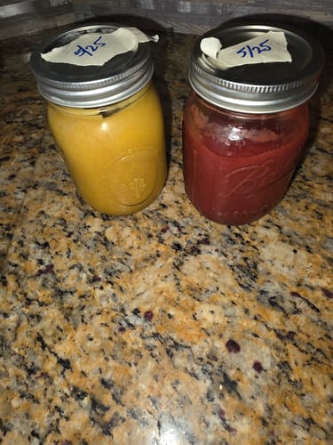 Customer photo review of Irish SeaMoss (Chondrus Crispus)