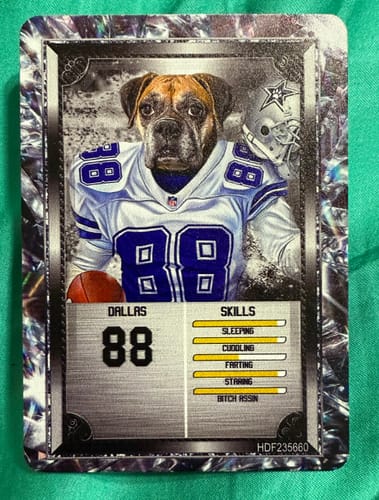 Customer photo review of 'Dallas Doggos' Personalized Pet Football Trading Card