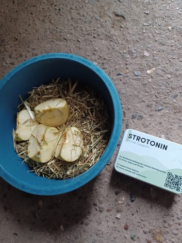 Customer photo review of Strotonin Horse Support
