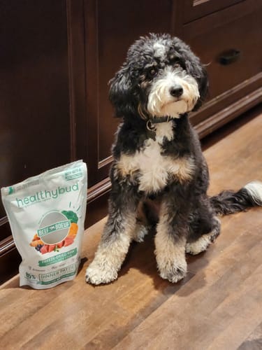 Customer photo review of Turkey Meal Bites