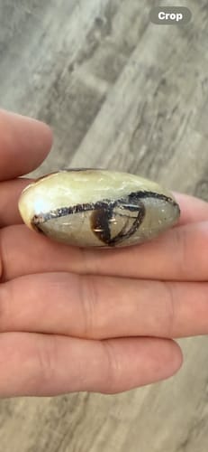 Customer photo review of VIP Crystal Club • (Monthly Crystal Tester)