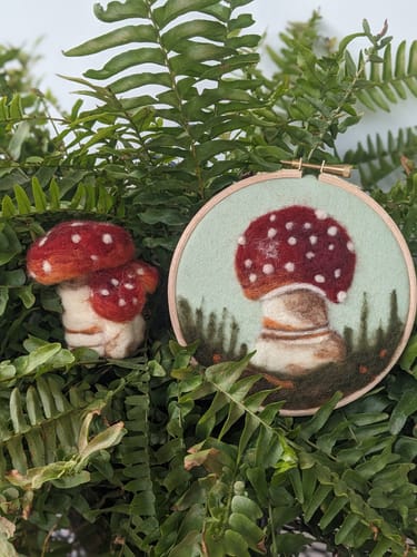 Denise R. review of Sophie Wheatley's Felted Fungi Supplies Box image 1 out of 1