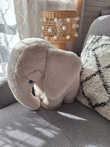 Customer photo review of The Elephant