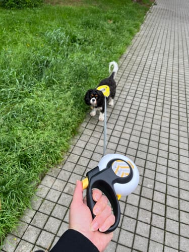 Customer photo review of FIDA AutoBrake Leash