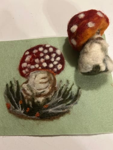 Bonnie C. review of Sophie Wheatley's Felted Fungi Supplies Box image 1 out of 1