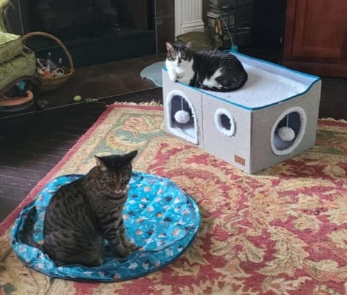 Sharon J. review of HUNTING COVER image 1 out of 1