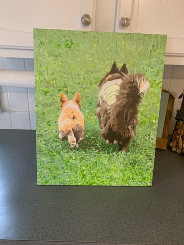 Customer photo review of Custom Paint by Numbers Kit