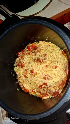 Customer photo review of Multicooker Novio EasyCook