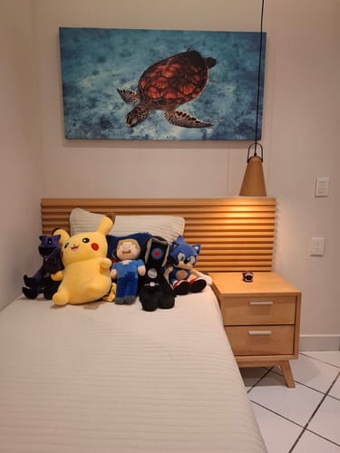 Customer photo review of Turtle Swimming #4