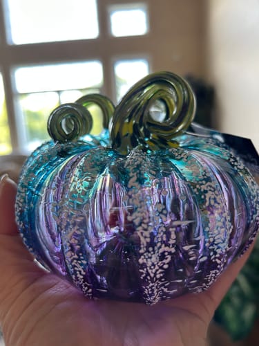 Customer photo review of Under the Sea Squat Pumpkin - Limited Run