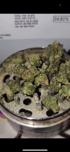 Customer photo review of Oreoz - 28 Grams - Minis (Hybrid)