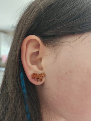 Rachel K. review of Horse Studs Hypoallergenic Earrings for Sensitive Ears Made with Plastic Posts image 1 out of 1
